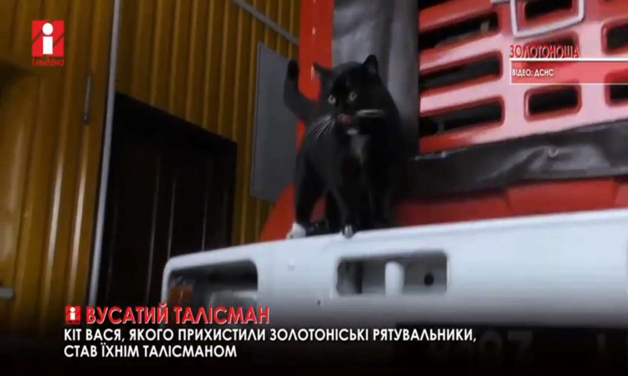 Кіт Вася став талісманом для золотоніських рятувальників (ВІДЕО)